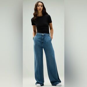 Hudson Jeans Jodie Loose Fit Wide Leg Trouser Jean, size 26 brand new with tags